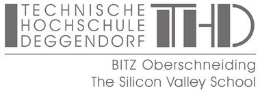 BITZ Oberschneiding - The Silicon Valley School